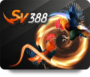 Hướng dẫn cách đặt cược hiệu quả tại Hit Club Top Bet